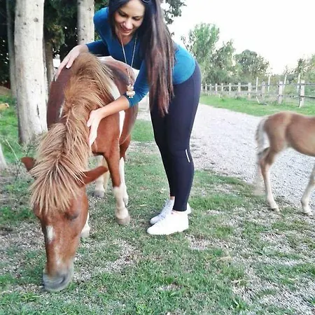 Διαμέρισμα Trebizato