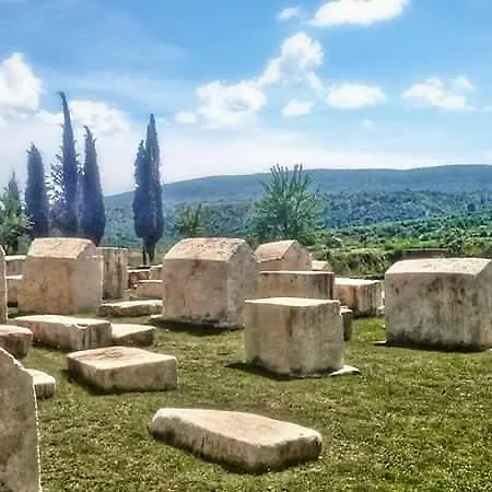 Διαμέρισμα Trebizato